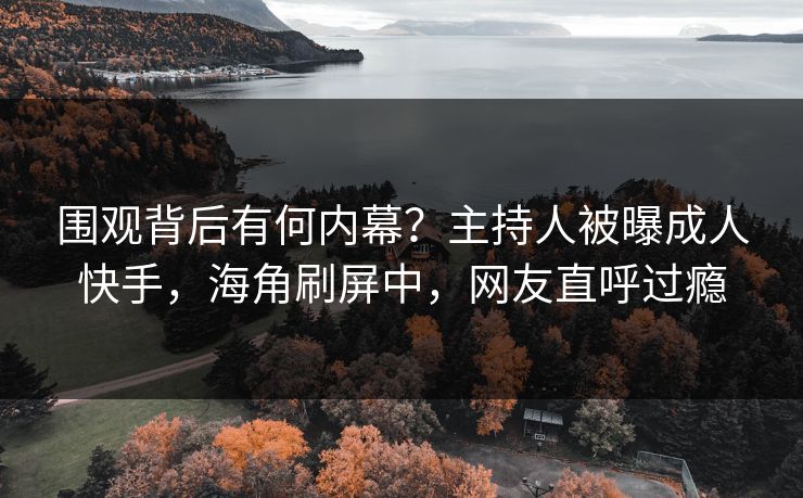 围观背后有何内幕？主持人被曝成人快手，海角刷屏中，网友直呼过瘾