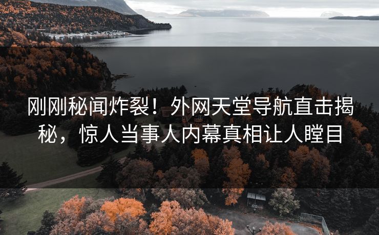 刚刚秘闻炸裂！外网天堂导航直击揭秘，惊人当事人内幕真相让人瞠目