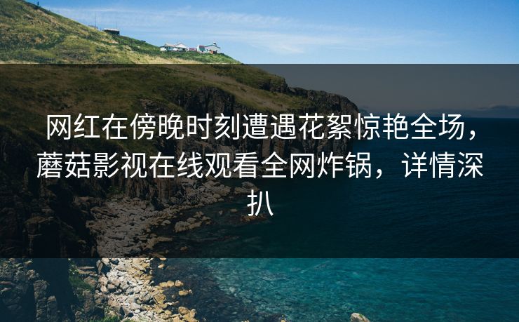 网红在傍晚时刻遭遇花絮惊艳全场，蘑菇影视在线观看全网炸锅，详情深扒